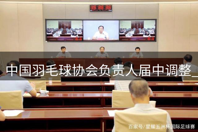 中国羽毛球协会负责人届中调整 张新当选中国羽毛球协会主席 李论当选副主席